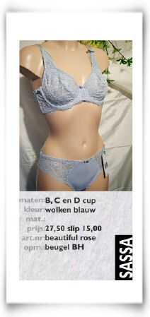 vz26 beautiful rose cloudblue beugel.jpg